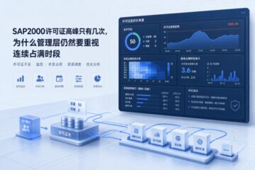 SAP2000许可证高峰只有几次，为什么管理层仍然要重视连续占满时段